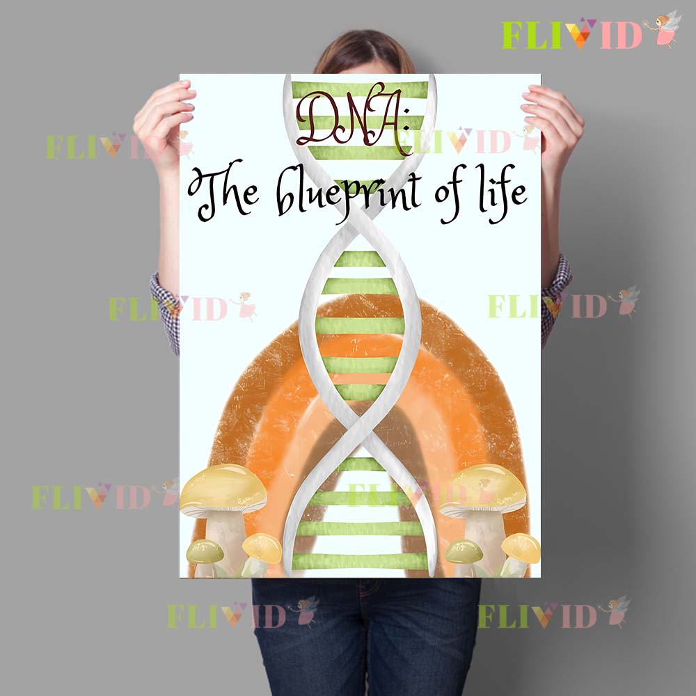 Nursery Cell Biology Science C - Science Nursery incelemesi ve fiyatı