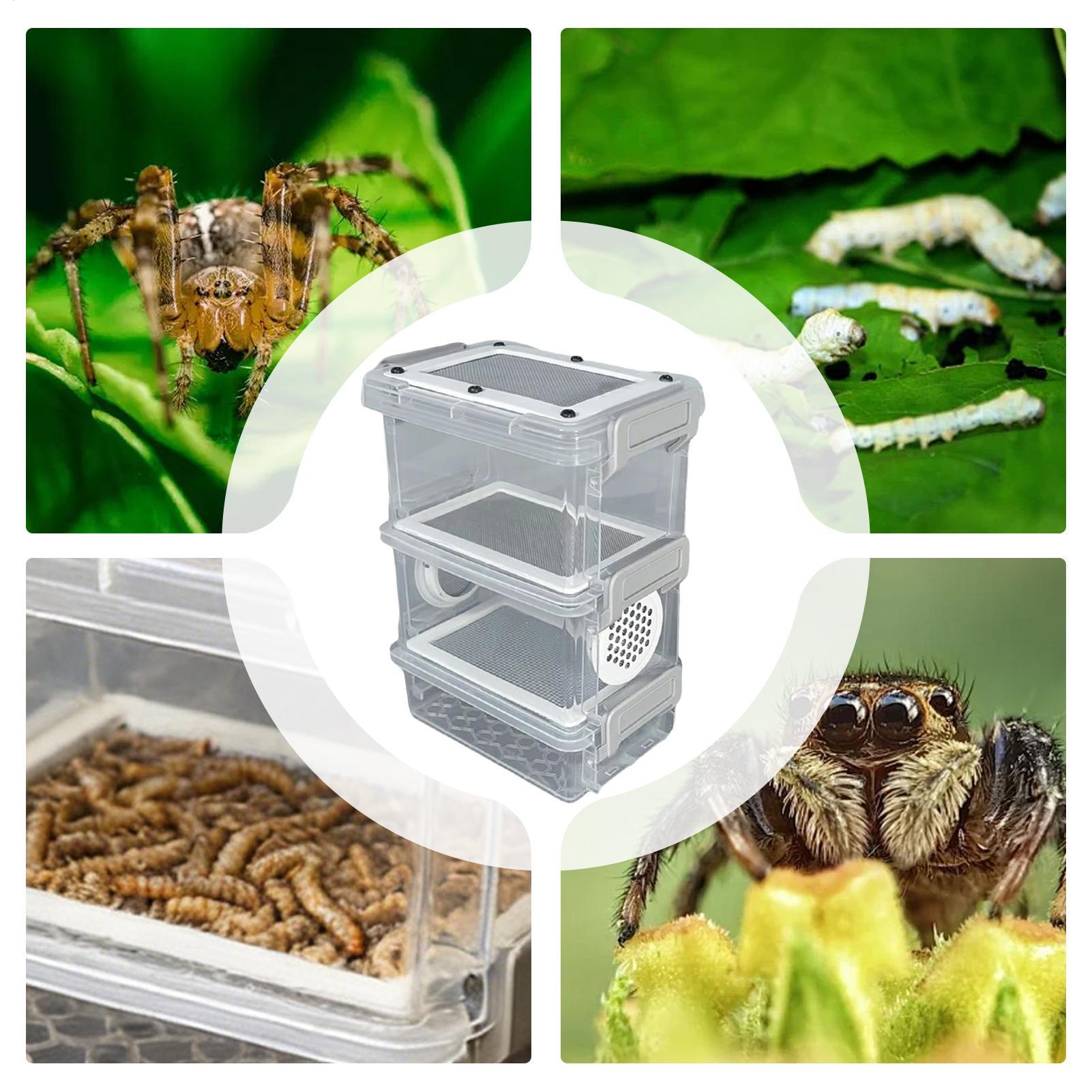 Mealworm Breeding Kit 3-Layer  - Science Hobbyist incelemesi ve fiyatı