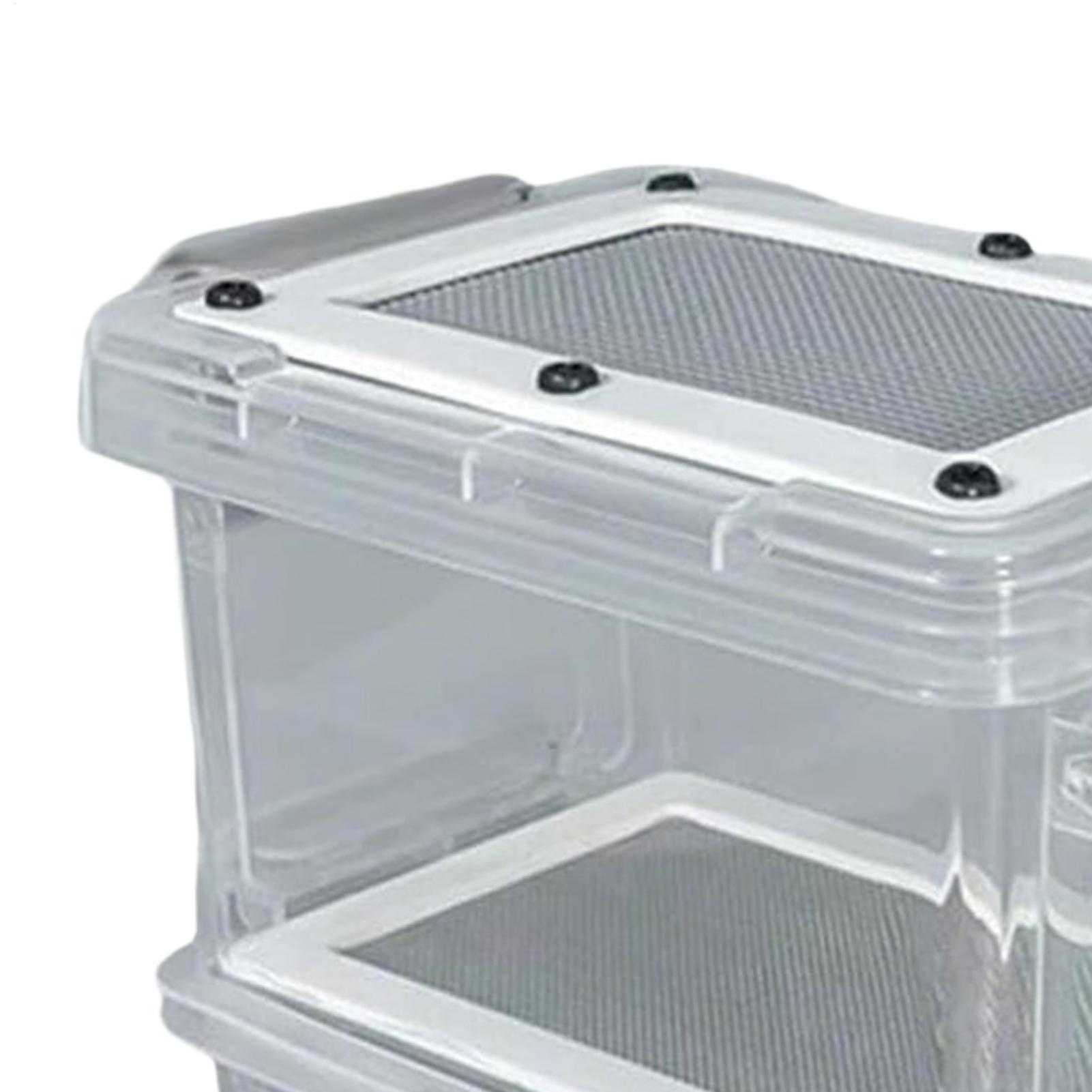 Mealworm Breeding Kit 3-Layer  - Science Hobbyist incelemesi ve fiyatı