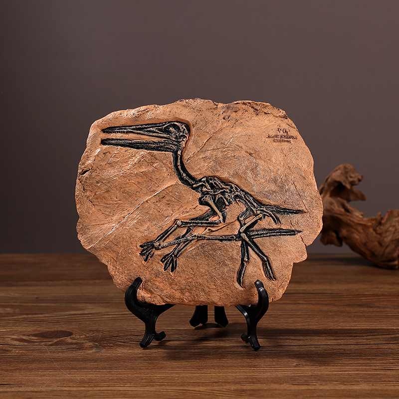 ‌Realistic Dinosaur Fossil Rep - Fossil Replica Display incelemesi ve fiyatı